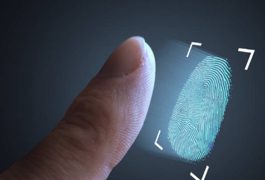 Are Fingerprints the Next Credit Card Numbers?